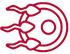 blank circle photo